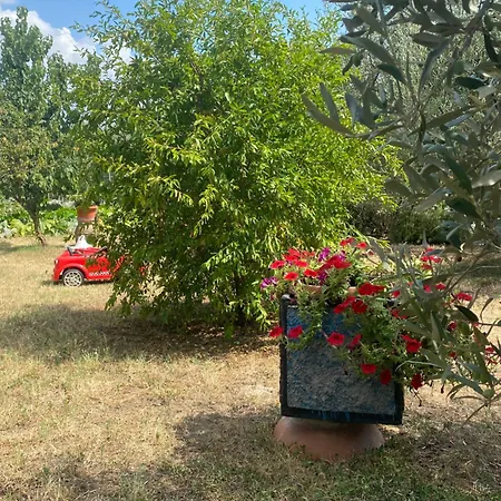 Coke * Passignano sul Trasimeno